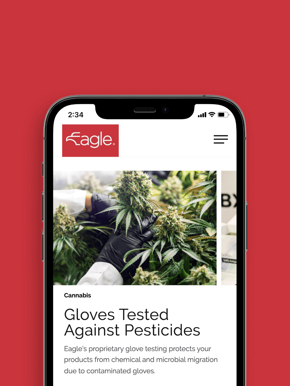 Eagle Protect website on mobile