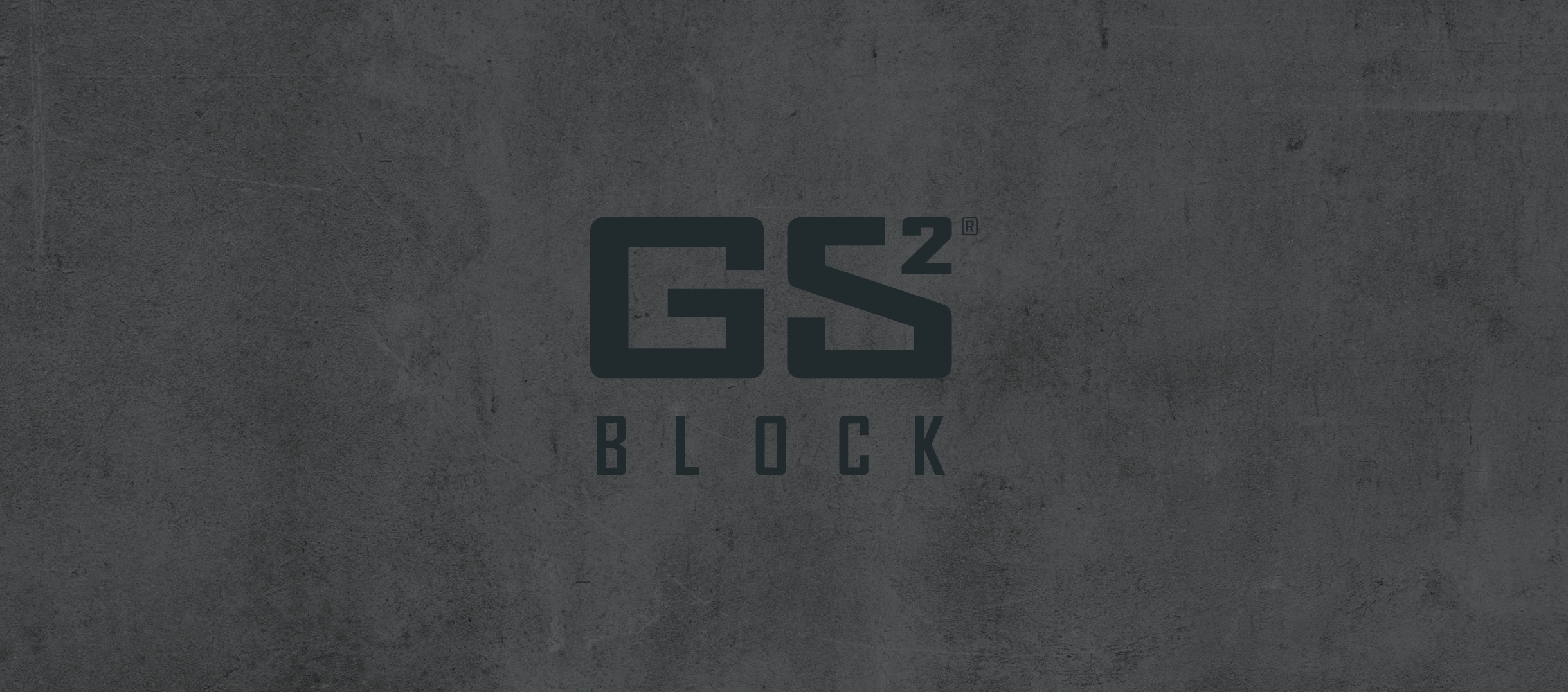 GS2 Block logo